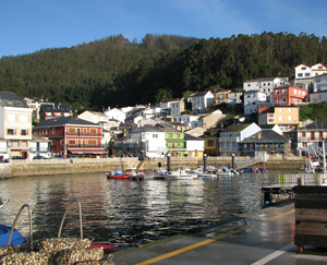 Mañon es un municipio Pet Friendly de Ferrolterra